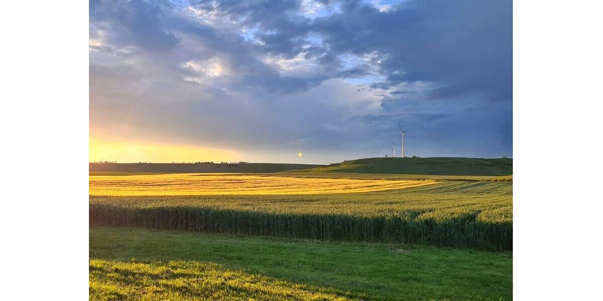 Naturliebhaber aufgepasst! 2,5 Zimmer-Wohnung im EG mit Terrasse & traumhaften Blick - Appartement Selzen | Angebot:27456171