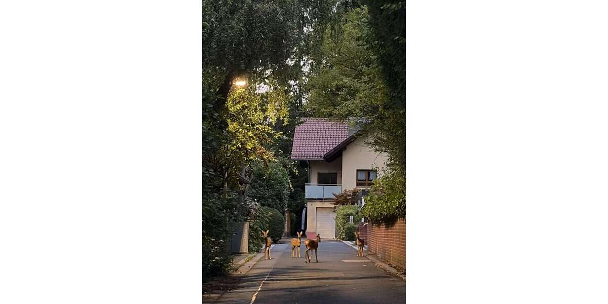 Einfamilienhaus Eppstein - 8 Zimmer, 285 m&sup2;, 2.900&euro; | Angebot:27451199