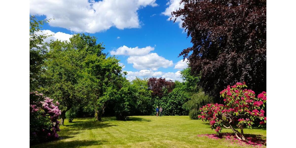 Erdgeschoßwohnung Schlangenbad - 5 Zimmer, 200 m&sup2;, 2.000&euro; | Angebot:24848187