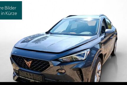 Cupra Formentor 46.818 km 20.940 &euro; Hofheim-Diedenbergen 65719