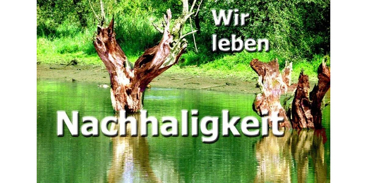 Gewerbeobjekt Mainz - 29&euro; | Angebot:16218176