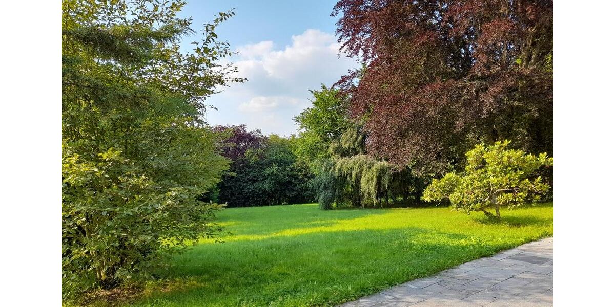 Erdgeschoßwohnung Schlangenbad - 5 Zimmer, 200 m&sup2;, 2.000&euro; | Angebot:24848187