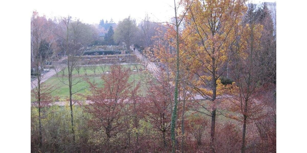 Etagenwohnung Wiesbaden Bierstadt - 2 Zimmer, 65 m&sup2;, 238.000&euro; | Angebot:27436251