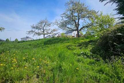 Haus Taunusstein - 5 Zimmer, 124 m&sup2;, 435.000&euro; | Angebot:27451203