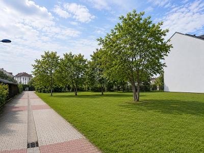 VIEL PLATZ FÜR IHRE ZUKUNFT AUF 734 M² - Grundstück Langen | Angebot:27337583