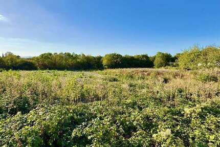 Grundstück Wörrstadt - 350.000&euro; | Angebot:27475256