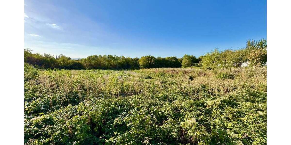Grundstück Wörrstadt - 350.000&euro; | Angebot:27475256
