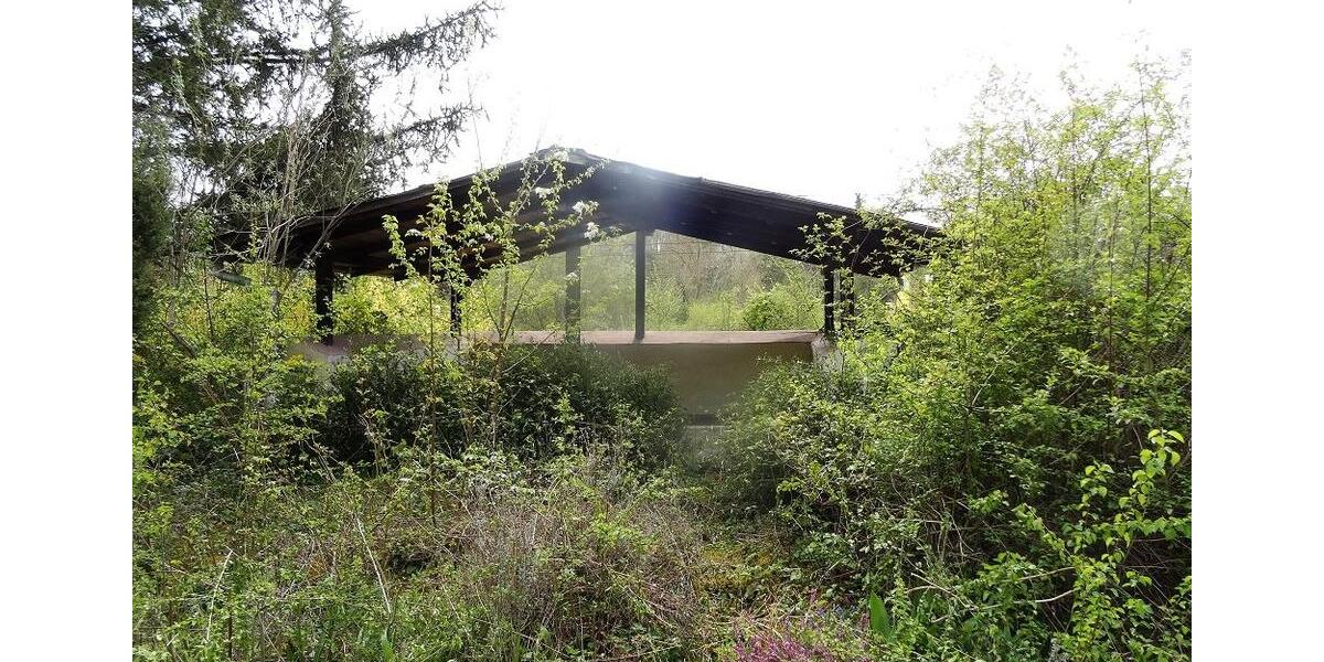 Einfamilienhaus Mainz Finthen - 120.000&euro; | Angebot:26648003
