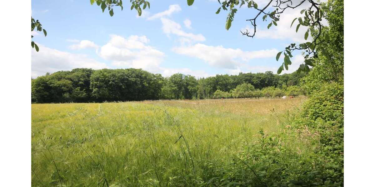Grundstück Kelkheim - 1.299.000&euro; | Angebot:26808394