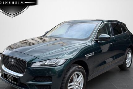 Jaguar F-Pace 159.743 km 16.900 &euro; Ginsheim-Gustavsburg 65462