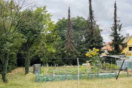 Grundstück Hillesheim - 195.000&euro; | Angebot:24136738