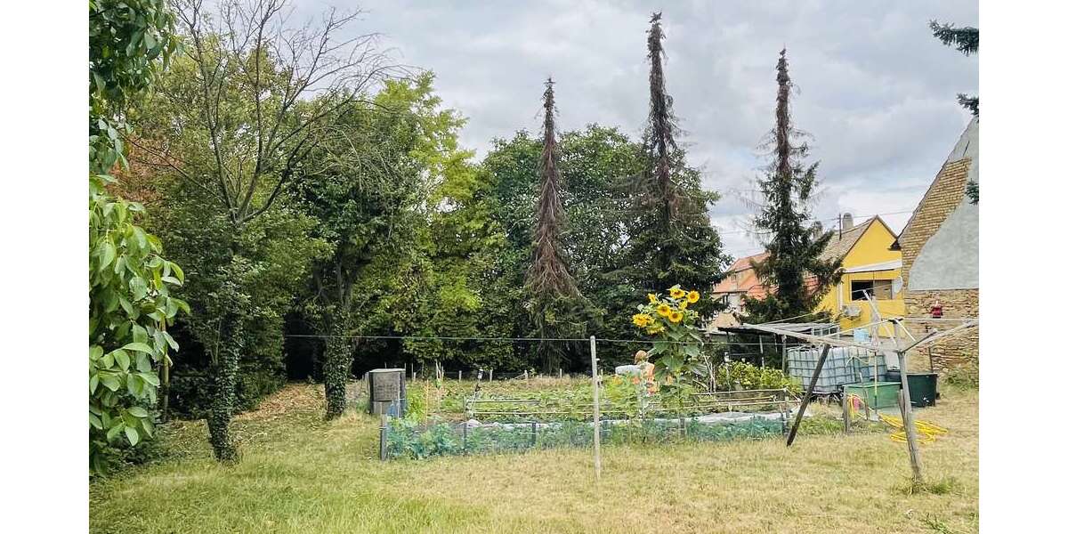 Grundstück Hillesheim - 195.000&euro; | Angebot:24136738