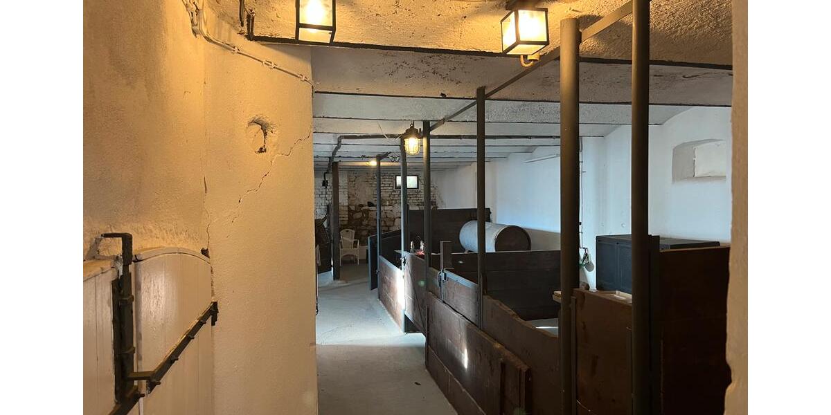 Einfamilienhaus Gensingen - 10 Zimmer, 233 m&sup2;, 649.000&euro; | Angebot:25402350