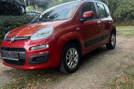 Fiat Panda 49.999 km 7.300 &euro; Hochheim am Main 65239