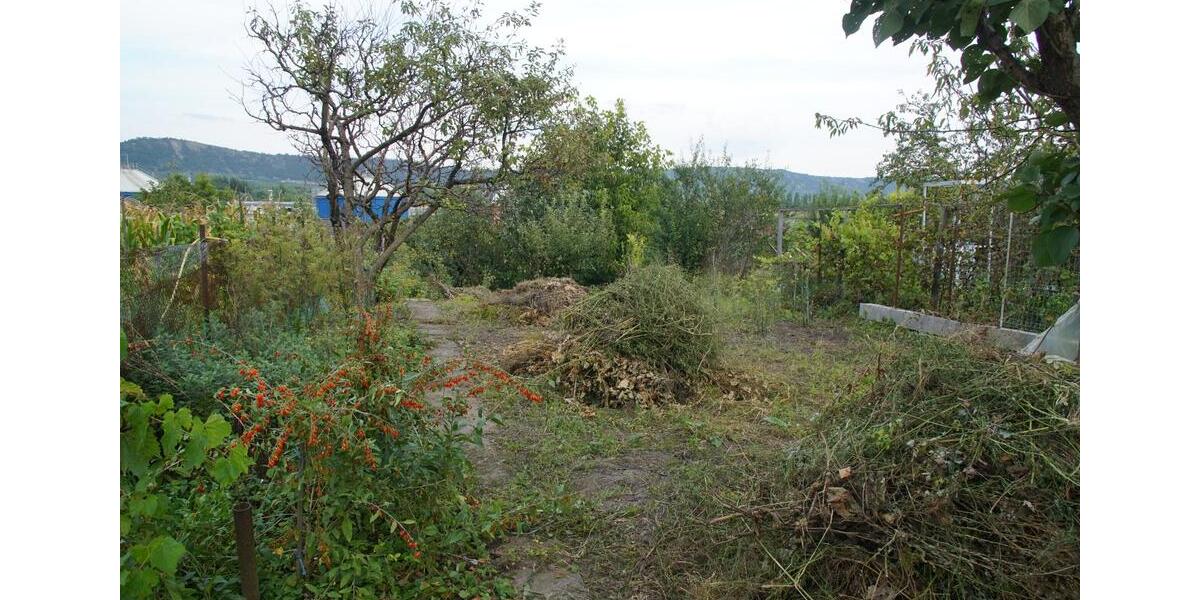 Einfamilienhaus Königstein im Taunus - 3 Zimmer, 95 m&sup2;, 149.000&euro; | Angebot:24452717