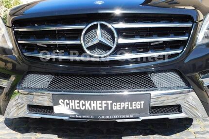 Mercedes-Benz ML 350 182.200 km 18.700 &euro; Groß-Gerau OT Berkach 64521
