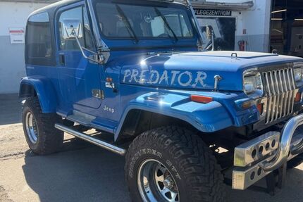 Jeep Wrangler 125.489 km 13.450 &euro; Ginsheim-Gustavsburg 65462