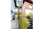Mehrfamilienhaus, Wohnhaus Kelsterbach - 12 Zimmer, 267 m&sup2;, 989.000&euro; | Angebot:27486898