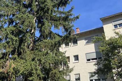 Wohnung Wiesbaden Klarenthal - 3 Zimmer, 65 m&sup2;, 249.000&euro; | Angebot:27255577