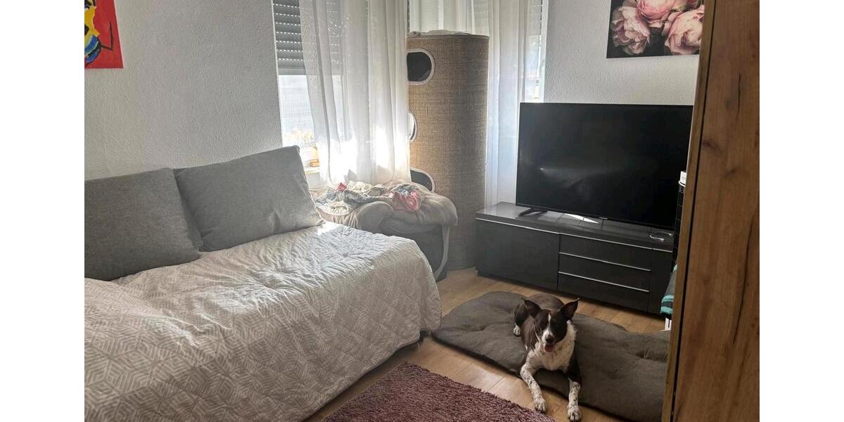Mehrfamilienhaus, Wohnhaus Riedstadt - 11 Zimmer, 242 m&sup2;, 489.000&euro; | Angebot:27452986