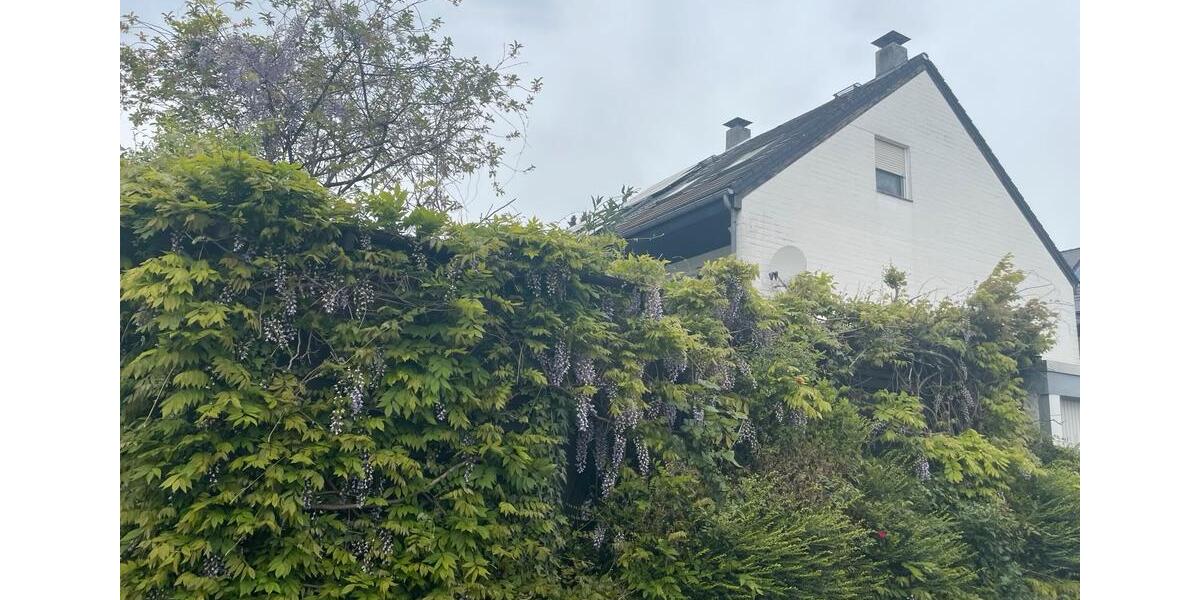 Reihenhaus Wiesbaden Mainz-Amöneburg - 4 Zimmer, 144 m&sup2;, 649.000&euro; | Angebot:27242908