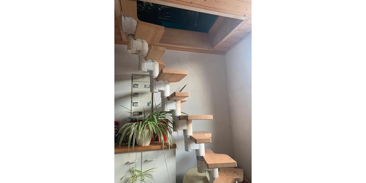 Einfamilienhaus Armsheim - 4 Zimmer, 125 m&sup2;, 350.000&euro; | Angebot:26846377