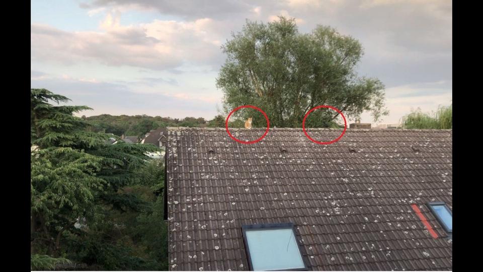 Dachgeschoßwohnung Rüsselsheim am Main - 2 Zimmer, 62 m&sup2;, 220.000&euro; | Angebot:27429691