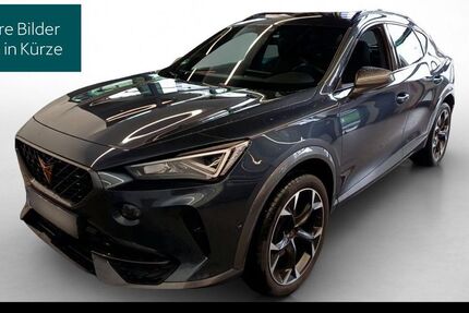 Cupra Formentor 26.488 km 25.980 &euro; Hofheim-Diedenbergen 65719