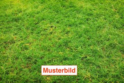Grundstück Eppstein - 399.000&euro; | Angebot:27463361