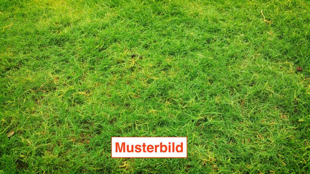Grundstück Eppstein - 399.000&euro; | Angebot:27463361