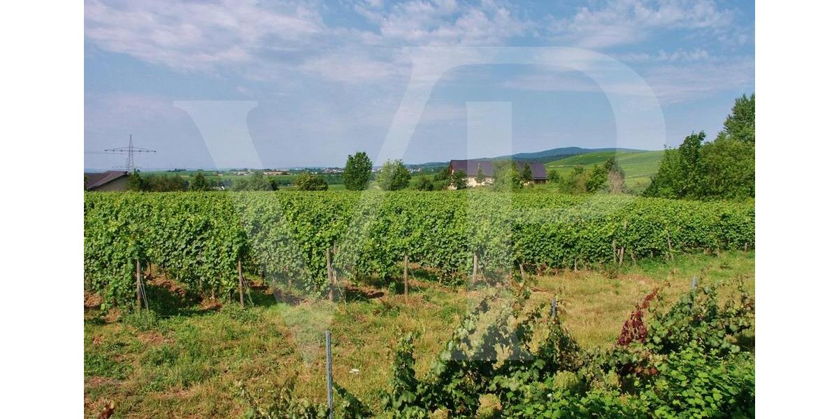 Gewerbeobjekt Eltville am Rhein Martinsthal - 2.130&euro; | Angebot:25262664