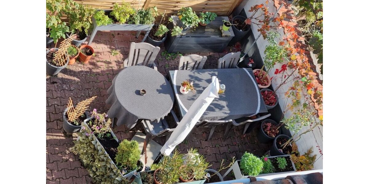 Provisionsfrei* Gepflegtes und sehr großzügiges Mehrfamilienhaus im Rheingau - Mehrfamilienhaus, Wohnhaus Oestrich-Winkel Winkel | Angebot:27490631