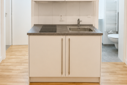 Wohnung Wiesbaden Mitte - 1 Zimmer, 18 m&sup2;, 395&euro; | Angebot:27493168