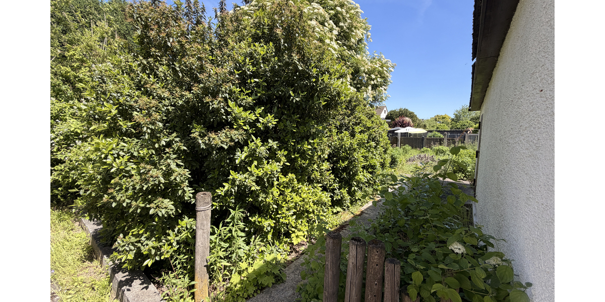 Mehrfamilienhaus in ruhiger Lage – sanierungsbed. – Neubau Erweiterung nach § 34 (BauGB) möglich - Mehrfamilienhaus, Wohnhaus Trebur | Angebot:26737398