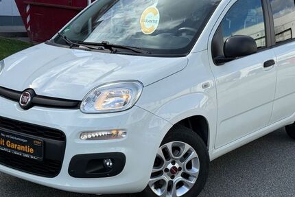 Fiat Panda 50.000 km 9.450 &euro; Kelkheim 65779