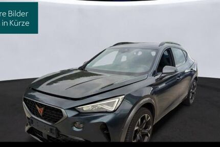 Cupra Formentor 27.552 km 25.480 &euro; Königstein 61462