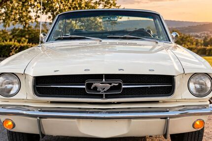 Ford Mustang 120.000 km 54.900 &euro; Kelsterbach 65451
