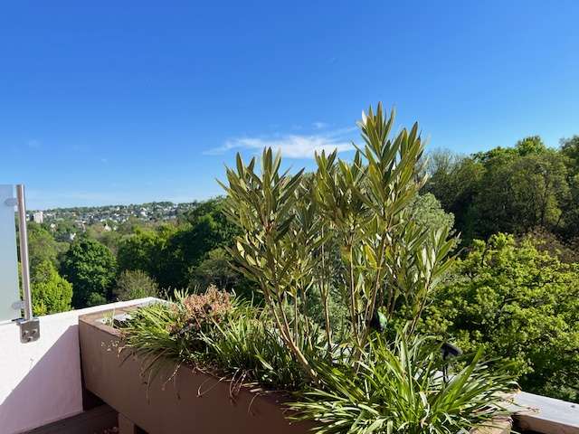 Etagenwohnung Wiesbaden Nordost - 3 Zimmer, 110 m&sup2;, 589.000&euro; | Angebot:27034416