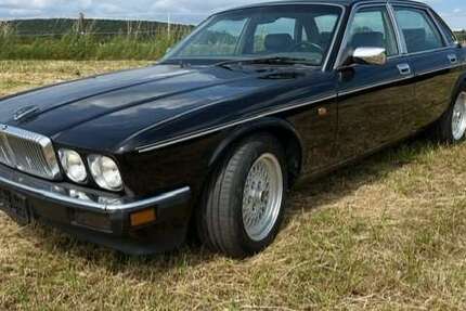 Jaguar XJ40 175.000 km 15.900 &euro; Hofheim-Wallau 65719